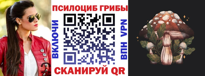 Псилоцибиновые грибы Psilocybine cubensis  Полевской 